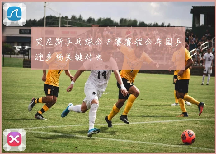 突尼斯乒乓球公开赛赛程公布国乒迎多场关键对决