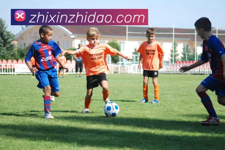 星空官网首页入口平台生态图