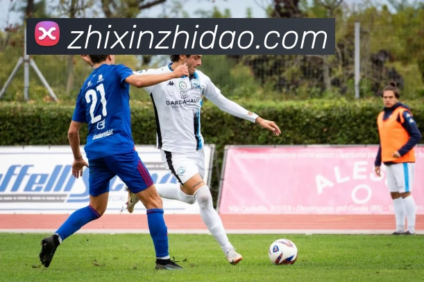 星空官网首页入口APP 封面图